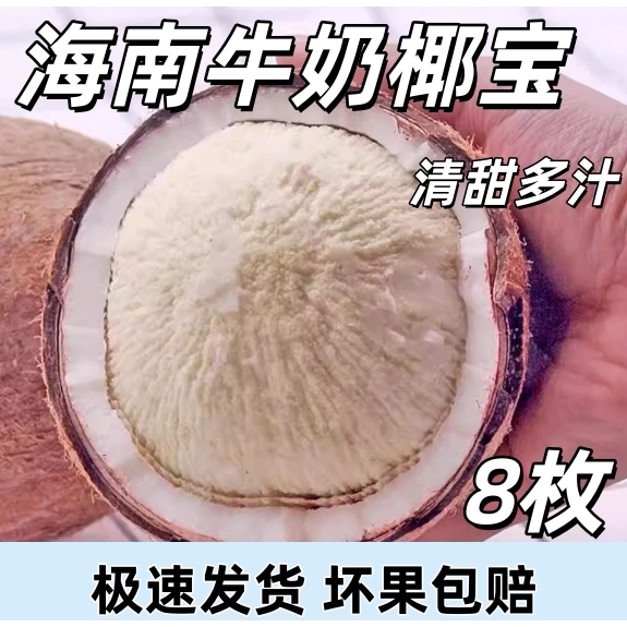 海南椰宝牛奶皇椰汁去皮当季新鲜水果椰皇老椰子肉孕妇榨整箱包邮