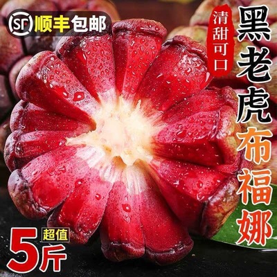 【顺丰发货】黑老虎新鲜水果布福娜现摘鲜果当季恶魔果奇异血藤果