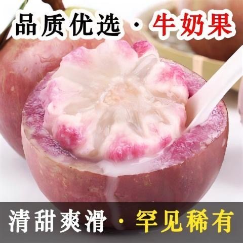 【顺丰速发】广西特产牛奶果新鲜热带水果清甜多汁时令当季鲜果包,水产肉类/新鲜蔬果/熟食,其它,淘宝优惠券,粉丝福利购,淘宝优惠卷
