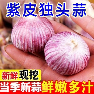 云南紫皮独头蒜新蒜5斤紫皮大蒜头新鲜农家蒜头干蒜独头当季蔬菜3