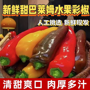 甜巴莱姆彩椒生吃水果新鲜甜椒彩椒西餐沙拉蔬菜食材甜巴莱姆彩椒