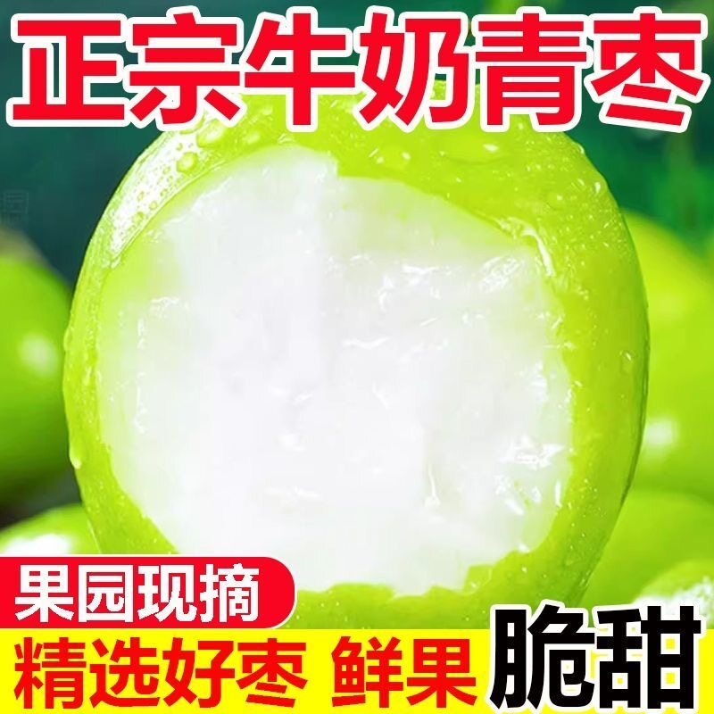 现货福建牛奶枣大青枣5斤新鲜冬枣贵妃鲜枣水果脆枣子非苹果东枣3