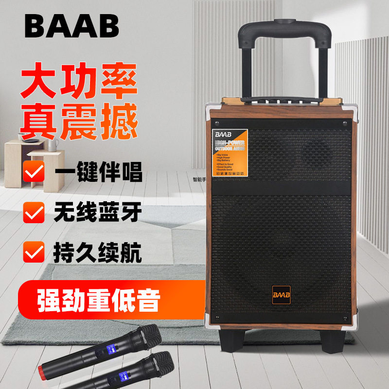 8寸木质广场舞音响户外k歌音箱大功率带无线话筒蓝牙拉杆移动