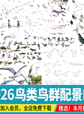 鸟类飞鸟线稿黑白剪影鸟群效果图后期鸟瞰图配景PSD免扣PS素材