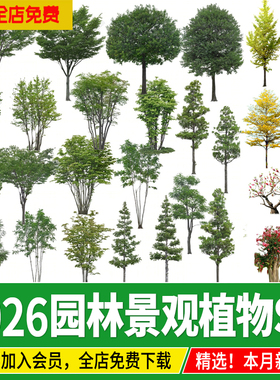 2D3D园林景观手绘真实植物灌木乔木树木花卉热带树SU模型素材设计