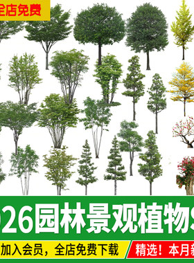 2D3D园林景观手绘真实植物灌木乔木树木花卉热带树SU模型素材设计