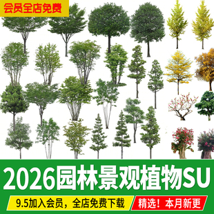 2D3D园林景观手绘真实植物灌木乔木树木花卉热带树SU模型素材设计