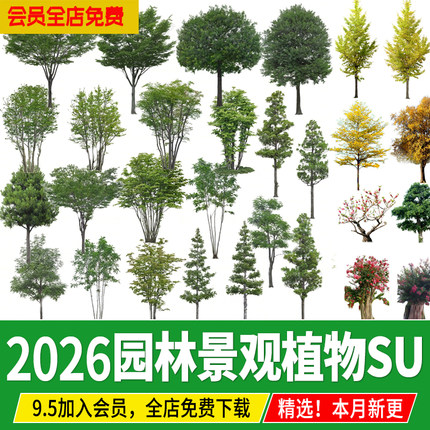 2D3D园林景观手绘真实植物灌木乔木树木花卉热带树SU模型素材设计