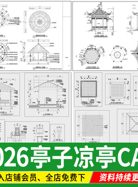 亭子景观亭凉亭详图大样图中式防腐木四六角木亭茅草亭CAD施工图