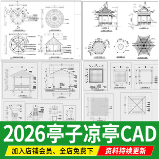 亭子景观亭凉亭详图大样图中式防腐木四六角木亭茅草亭CAD施工图