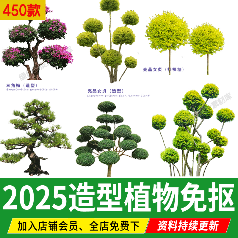 PS景观造型植物灌木球造型树迎客罗汉松桩景效果图png棒棒糖素材