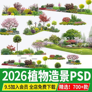 庭院植物组团造景小品园林景观中式花园 ps效果图后期psd免扣素材