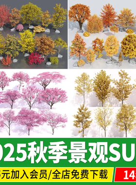 秋季植物秋天红色黄色银杏枫香色叶树景观树乔木春天樱花SU模型