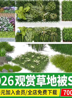 3d三维花草 地被园林植物草坪草花 草皮草丛 观赏草 三叶草su模型