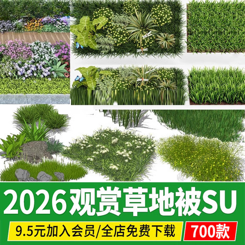 3d三维花草 地被园林植物草坪草花 草皮草丛 观赏草 三叶草su模型