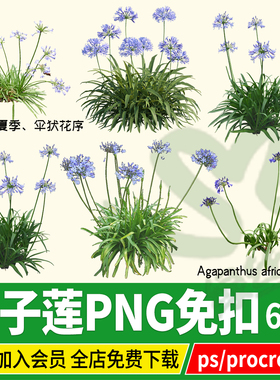 procreate百子莲百子兰免扣PS素材ipad板绘psd效果图后期贴图PNG