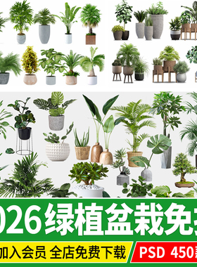 室内盆栽绿植花盆植物组合现代简约客厅摆件免抠ps素材psd免抠图