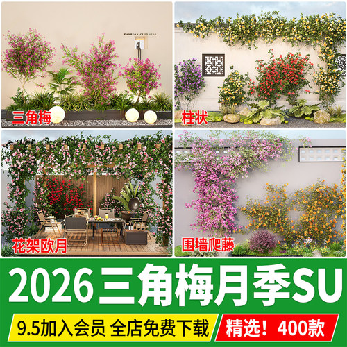 3d藤本欧洲月季欧月玫瑰花花架攀援爬藤植物树状棒棒糖围墙su模型