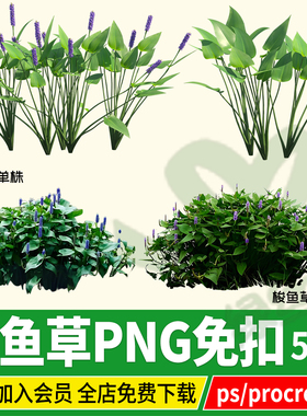 PNG梭鱼草池塘水生植物PSD免扣ps素材procreate效果图