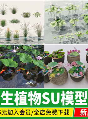 水生 植物 鱼池生态湿地滨水公园池塘睡莲荷花荷叶菖蒲草本su模型