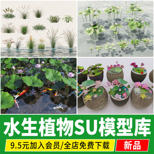水生 植物 鱼池生态湿地滨水公园池塘睡莲荷花荷叶菖蒲草本su模型