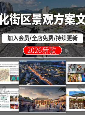 历史文化街区方案规划设计商业街中式古镇汇报文本案例改造提升