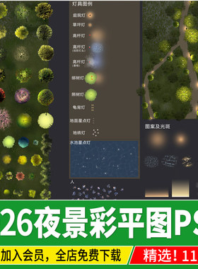 园林景观彩平图夜景彩平亮化照明分析图灯光植物PS素材psd图例