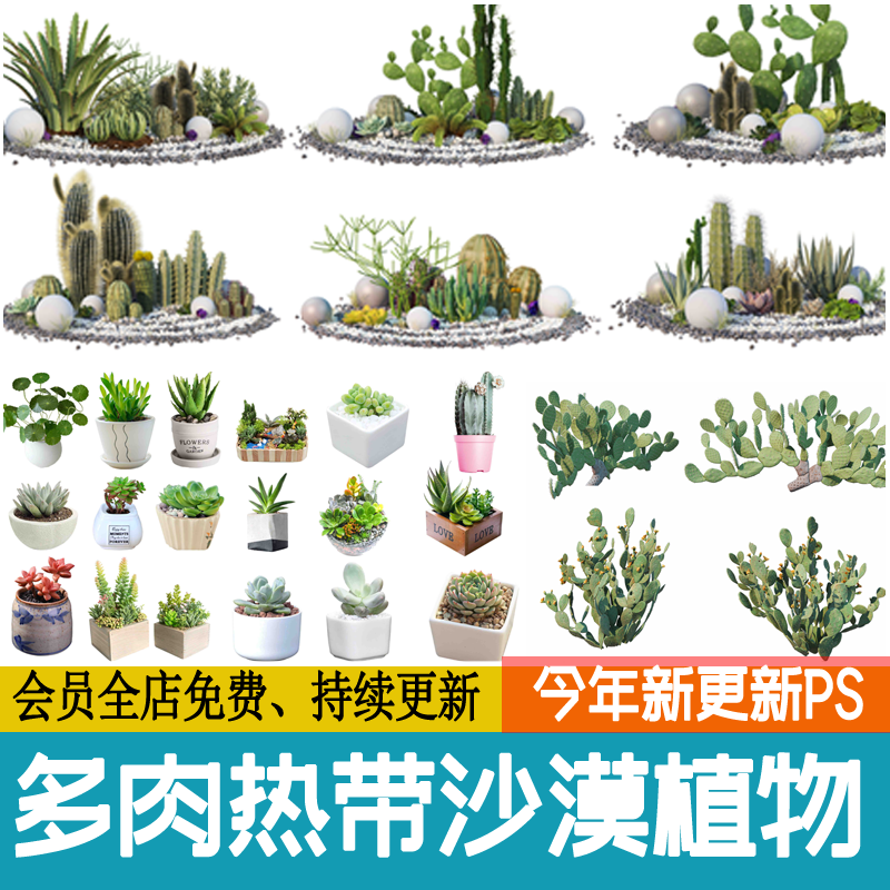 多肉植物热带沙漠盆栽ps素材psd免扣效果图沙生仙人掌景观造景