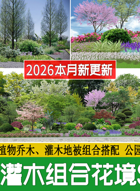 乔木灌木地被花境植物组团组合镜公园树木园林景观草图大师su模型