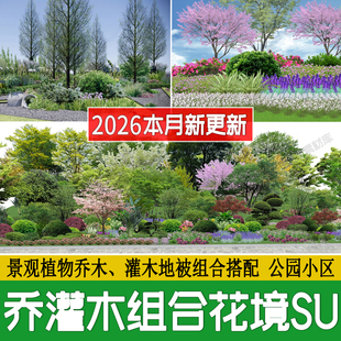 乔木灌木地被花境植物组团组合镜公园树木园林景观草图大师su模型