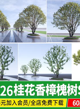 桂花香樟国槐银杏小乔木丛生朴树乌桕槭树栾树榆树草图大师SU模型