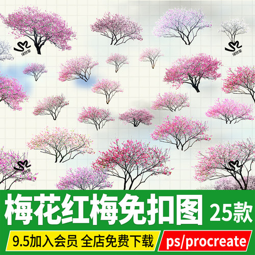 梅花红梅桃花procreate碧桃腊梅psd免扣ps素材png鸟瞰效果图配景