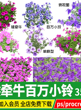 矮牵牛舞春花百万小铃PNG免扣PS素材procreate小花俯视平面效果图