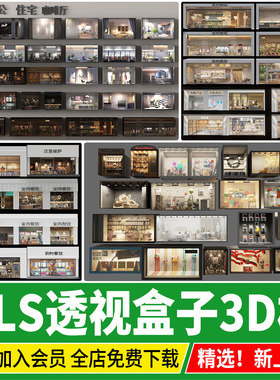VR OLS视差家装商业橱窗餐饮空间室内建筑橱窗服装店 EXR透视盒子