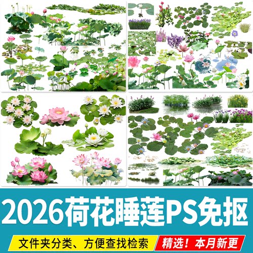 荷花睡莲水生植物池塘莲花荷叶彩平平面效果图后期PSD免扣PS素材
