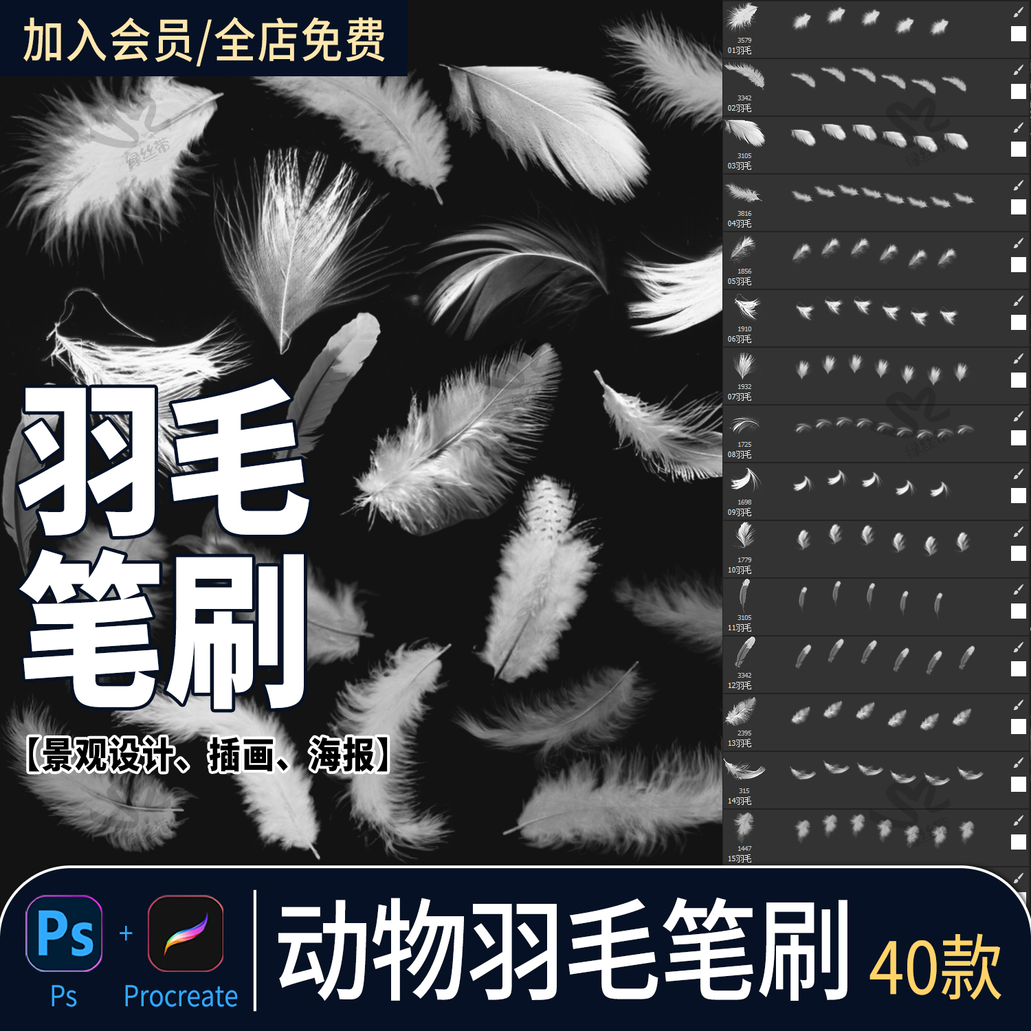 鸟类白色羽毛procreate笔刷后期羽毛飘落仙美特效插画ps笔刷素材