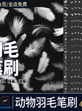 鸟类白色羽毛procreate笔刷后期羽毛飘落仙美特效插画ps笔刷素材