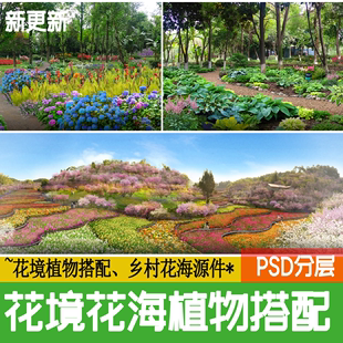 花境花海植物美丽乡村山地路边花镜配置改造效果图ps素材psd分层