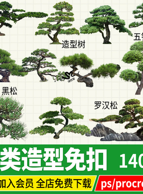 罗汉松造型松迎客松黑松崖柏松树效果图png psd ps procreate素材