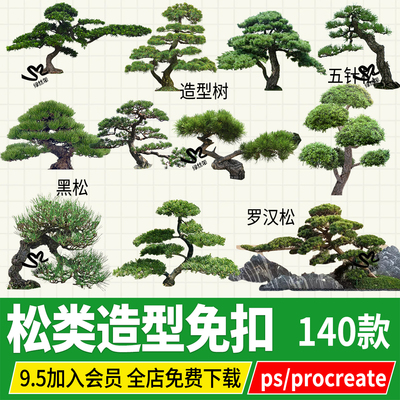 罗汉松造型松迎客松黑松崖柏松树效果图png psd ps procreate素材