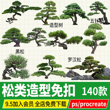 罗汉松造型松迎客松黑松崖柏松树效果图png psd ps procreate素材