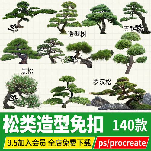 罗汉松造型松迎客松黑松崖柏松树效果图png psd ps procreate素材