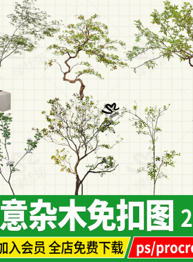 小杂木禅意植物庭院PNG造景树木日式中式石斑木造型psd免扣图ps