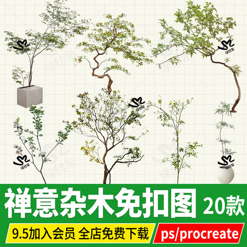 小杂木禅意植物庭院PNG造景树木日式中式石斑木造型psd免扣图ps