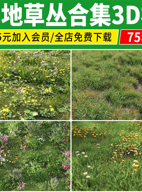 草地草丛草皮草坪3d模型库 景观植物公园绿地杂草园林花境3dmax