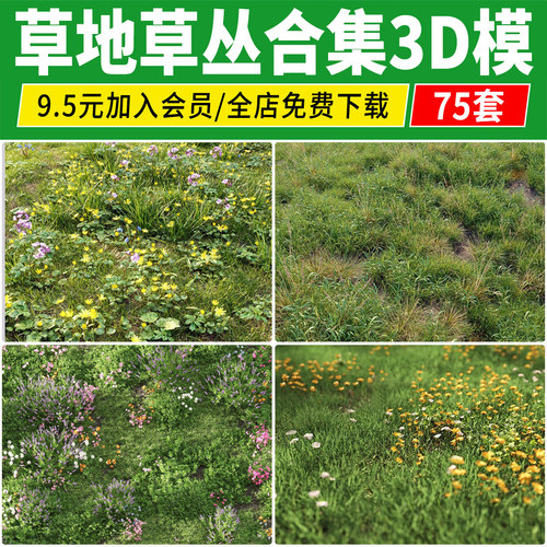 草地草丛草皮草坪3d模型库 景观植物公园绿地杂草园林花境3dmax