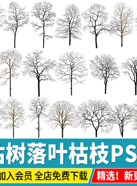 枯树PS素材落叶冬季效果图后期乔木光秃树干树枝植物psd免扣配景