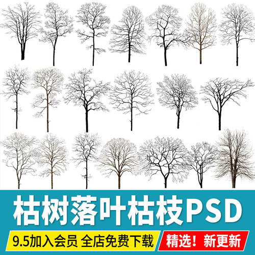 枯树PS素材落叶冬季效果图后期乔木光秃树干树枝植物psd免扣配景