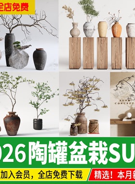 侘寂风陶罐摆件花瓶枯树枝干枝花艺室内小盆景绿植草图大师su模型