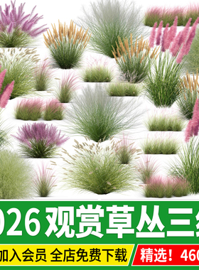 观赏草园林景观花境植物鼠尾草花丛组团psd免抠草丛配景ps素材